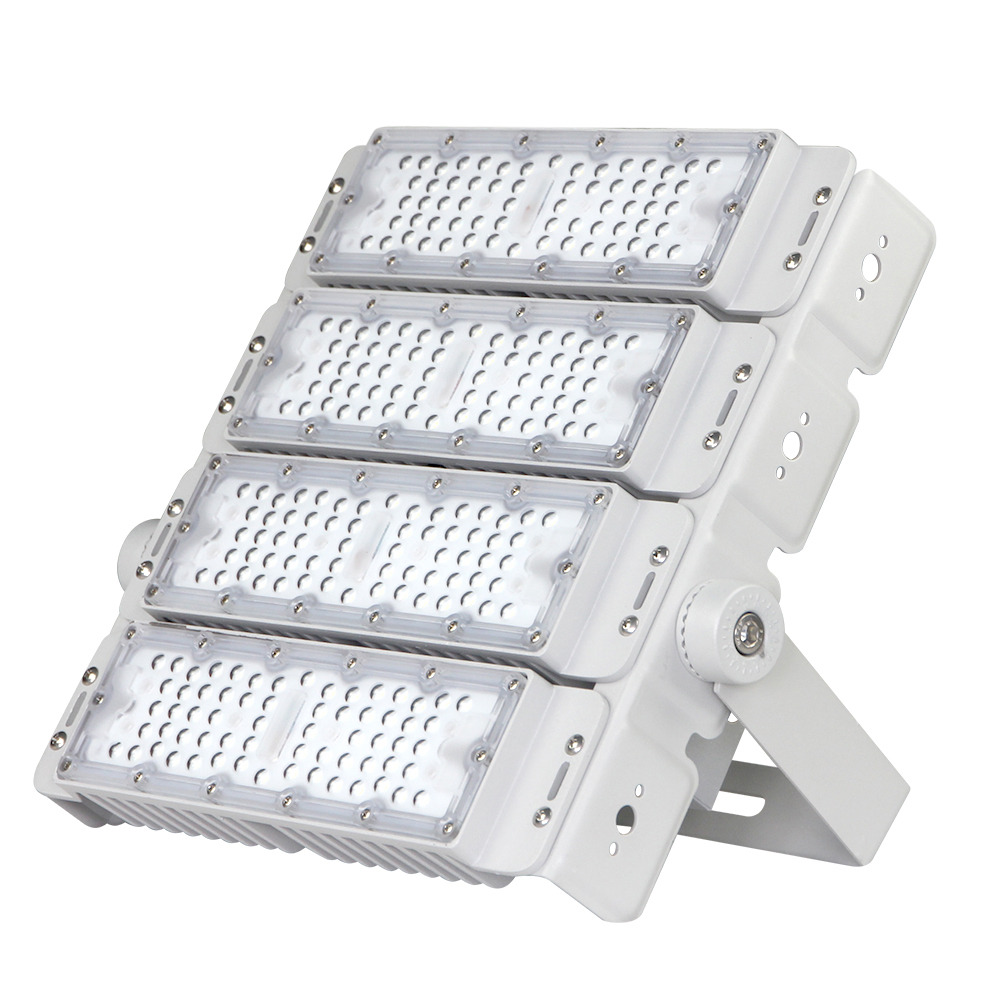 Proyector Modular Profesional 200W