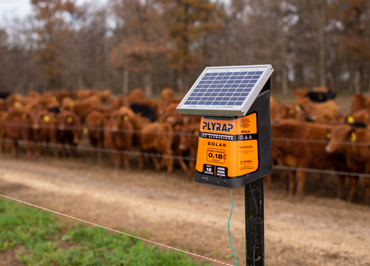 ELECTRIFICADOR COMPACTO SOLAR S7