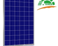 A Panel Solar Fotovoltaico Polic Amerisolar 72 cedas 340 Wp 